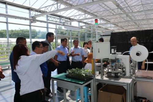 技術推廣助力曲堤黃瓜產業發展，農民增收邁上新臺階