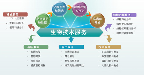 技術(shù)研發(fā)服務(wù)與技術(shù)推廣 創(chuàng)新價(jià)值鏈的雙驅(qū)動